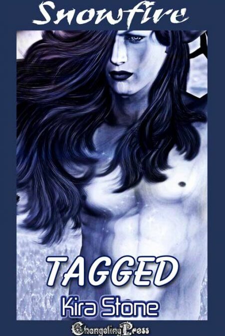 Snowfire: Tagged